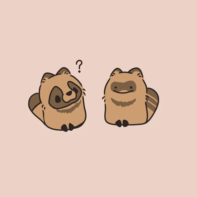 仲間? #素朴なたぬき #ぽこあポケモン