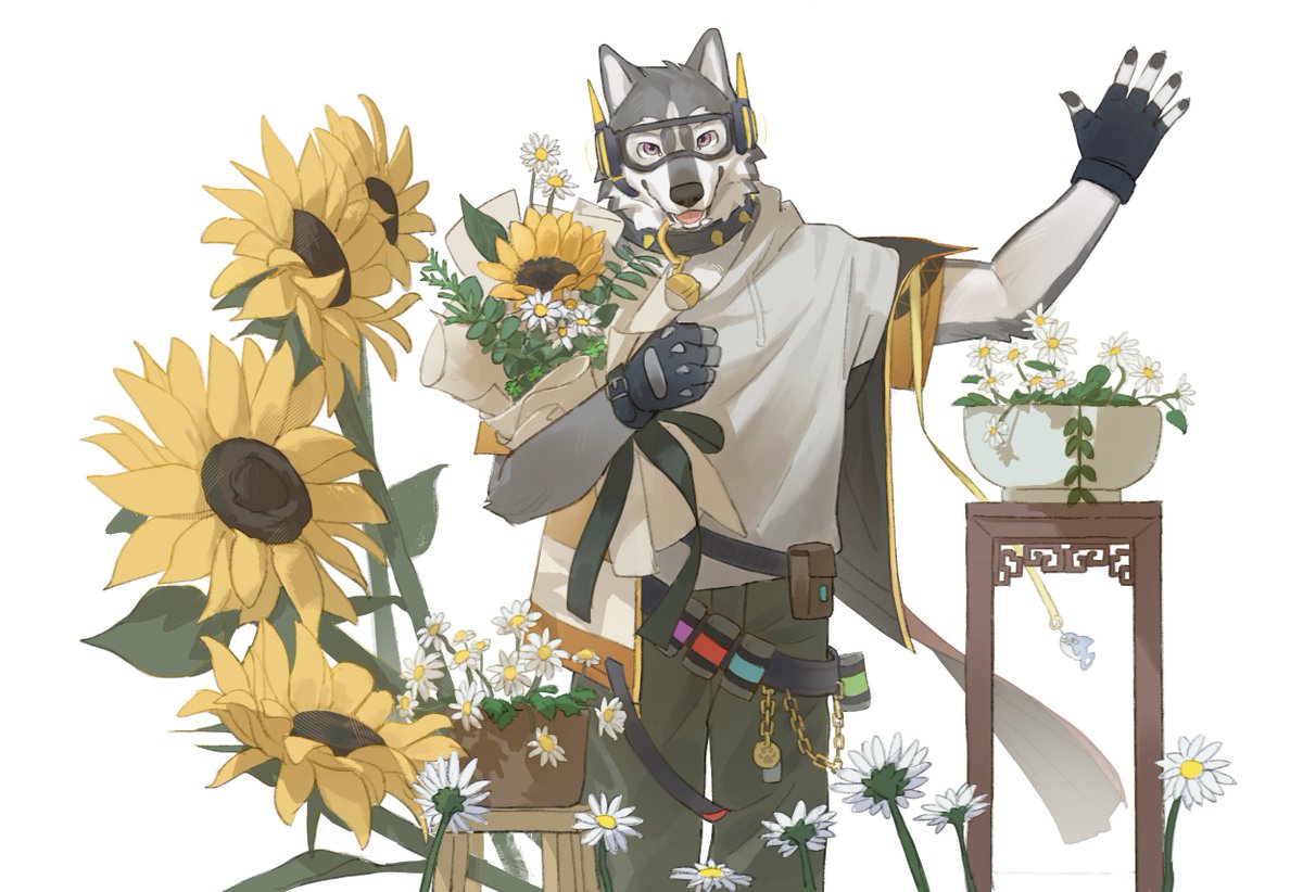 石头鲨 tweet media