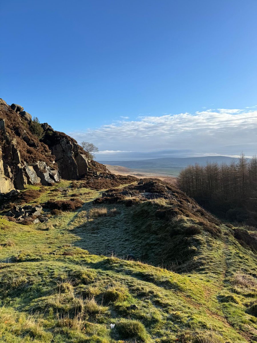 Spring has finally arrived to the Yorkshire Dales 🌼