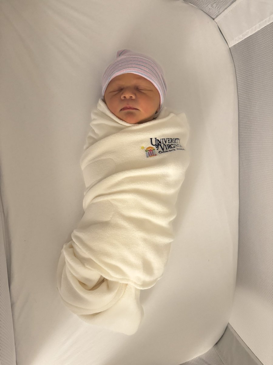 Harrison Stevens tweet media