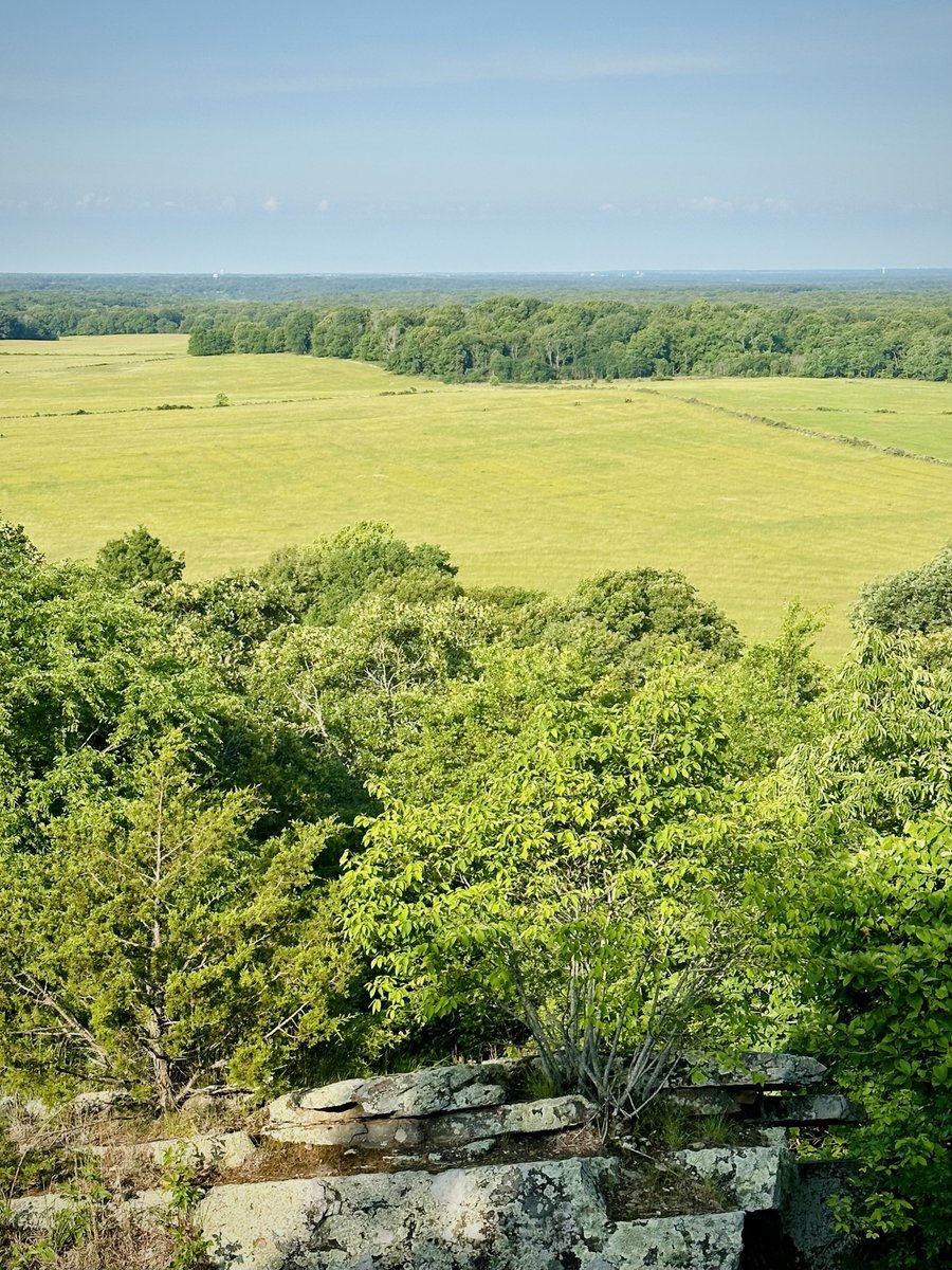 liz_july4th's tweet photo. #PeaRidge #Battle #CivilWar #Curtis #Arkansas #Sigel https://t.co/1xg3xKhI0z