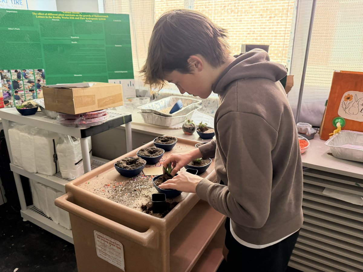 Rebecca Williams tweet media