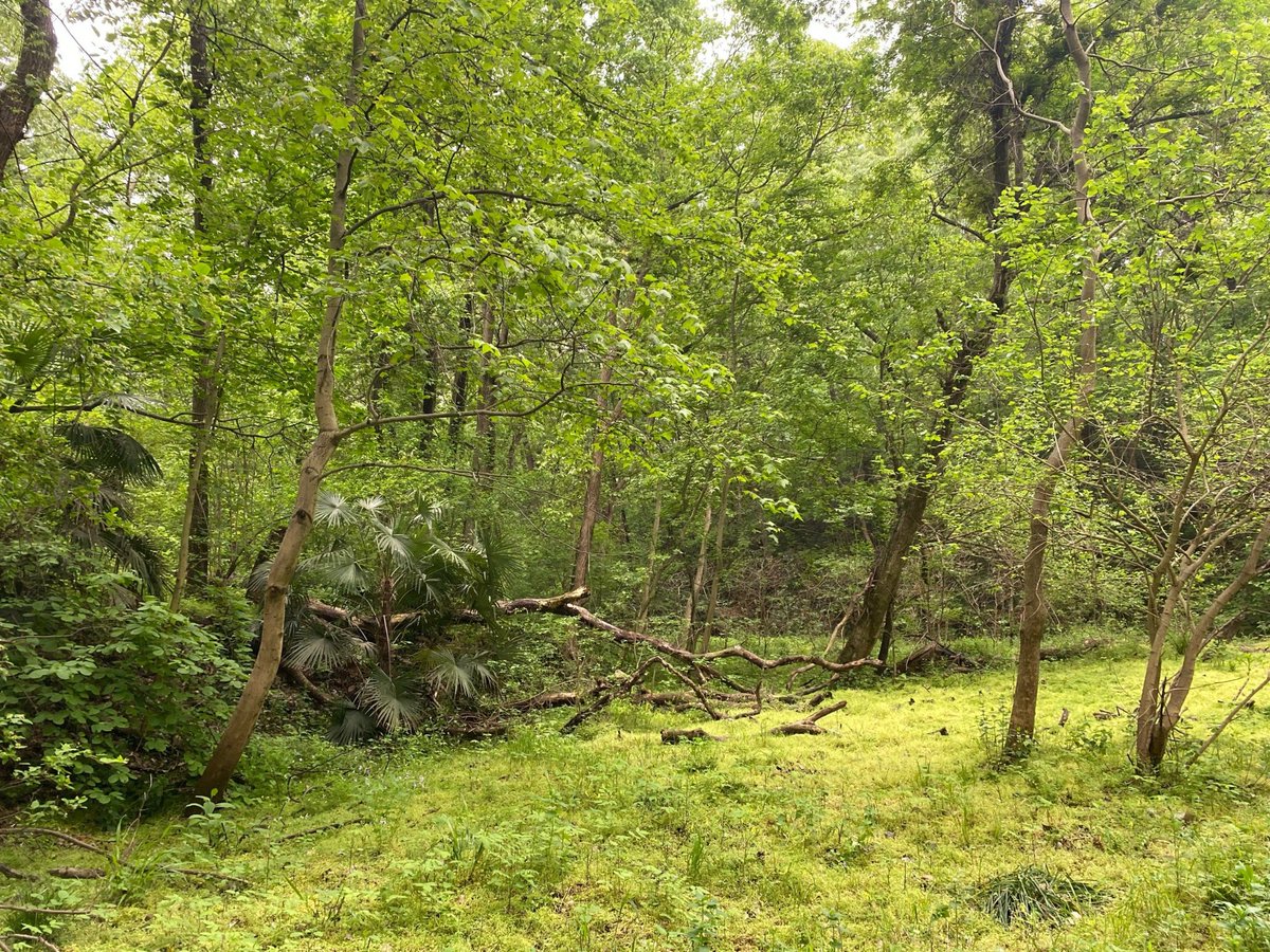 Transaction Advisor tweet media