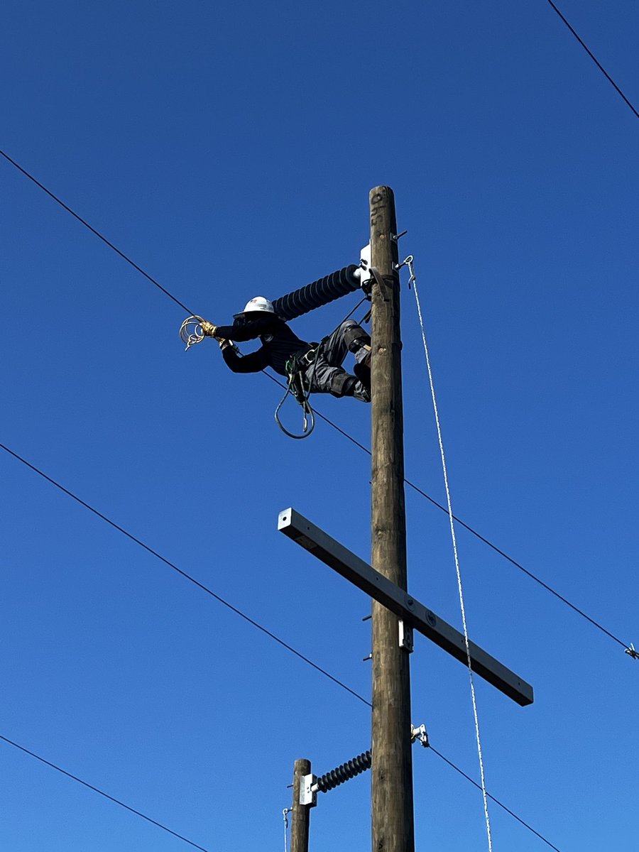 Ana Gibbs tweet media