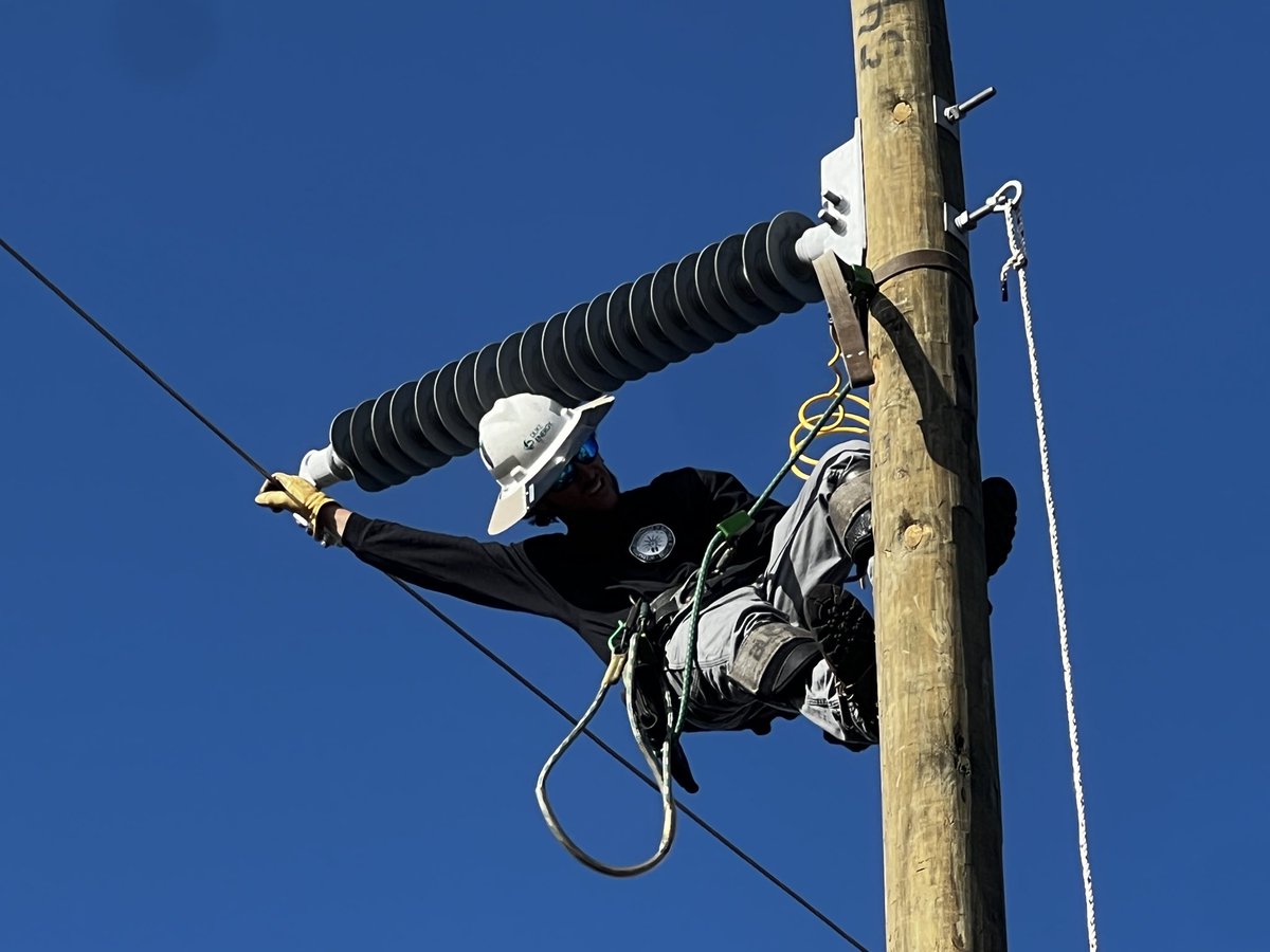 Ana Gibbs tweet media