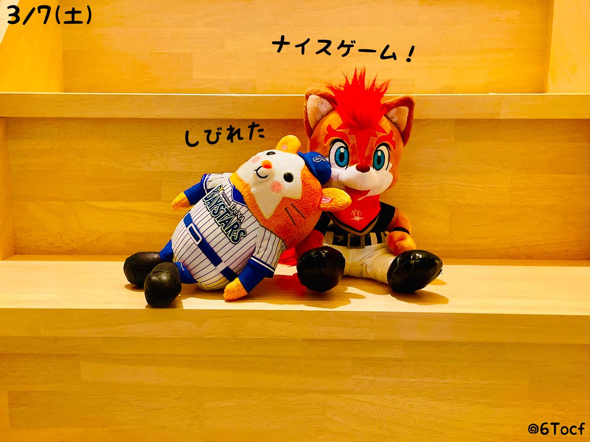 ただの野球好き tweet media