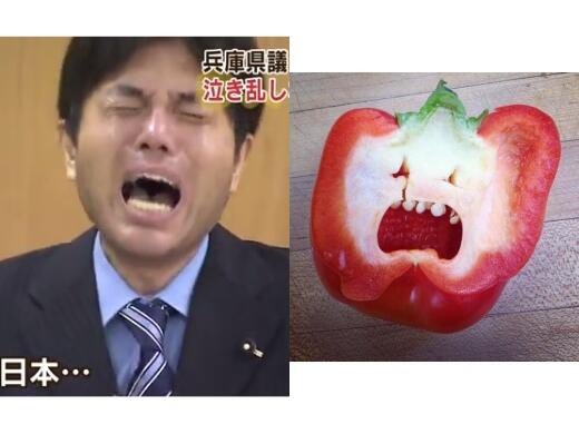 あんこ＠無気力人間 tweet media