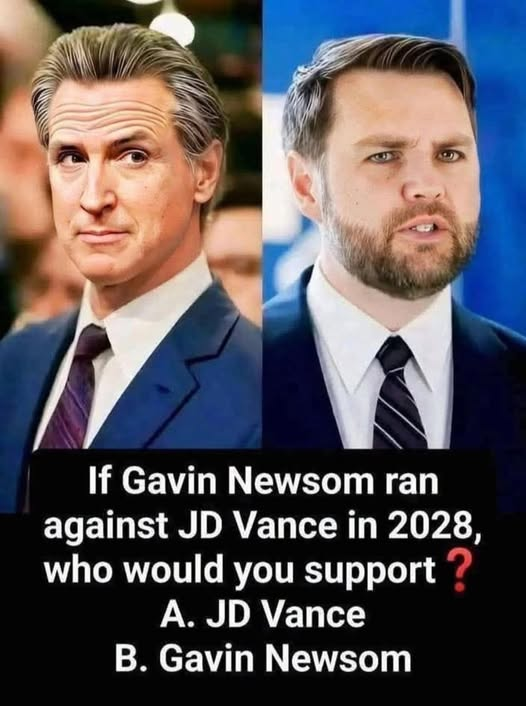 SaltyGoat17's tweet photo. Who agrees Vance would KICK THE LIVING SHlT out of Newsom!! https://t.co/9qyokt1BlF