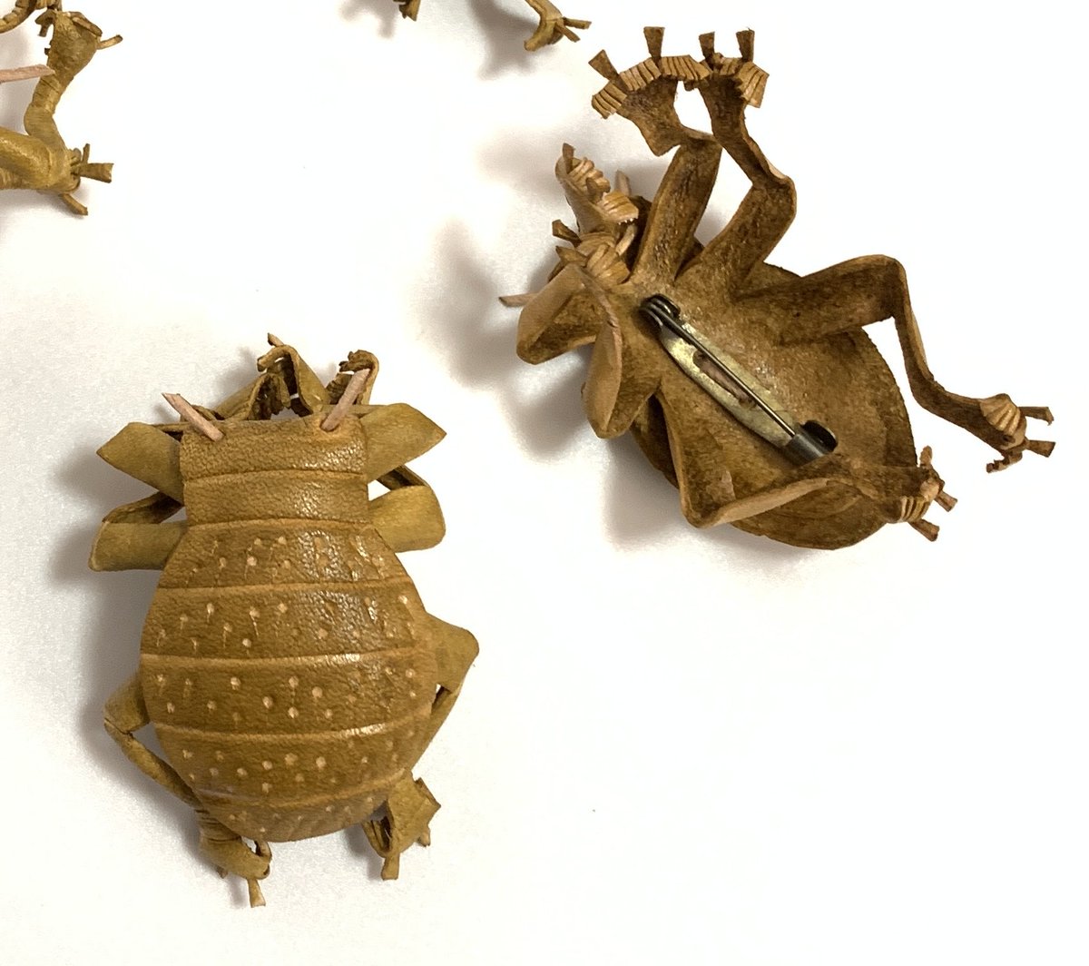 あまのじゃくとへそまがり tweet media