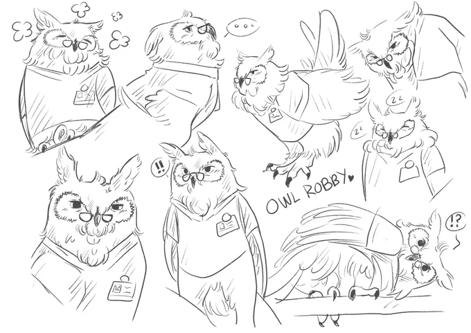 Never beating the owl allegations 😂🙏🏻 