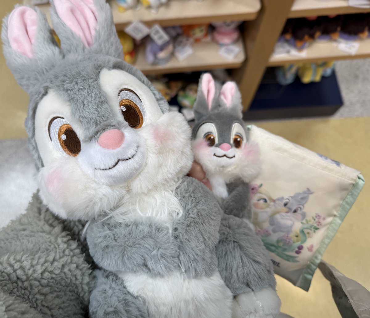 とんだふ tweet media