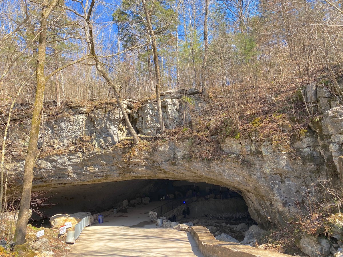 Arlo Guthrie tweet media