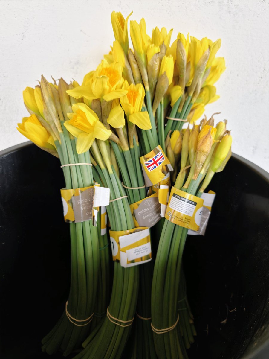 The Celebrate #InternationalWomensDay we are giving the First 10 Women through the gate a free bunch of flowers as a Thankyou from the Acorns.

#esl <a href="/EssexSenior/">Essex Senior League</a>

⚫🔵🌰⚫🔵