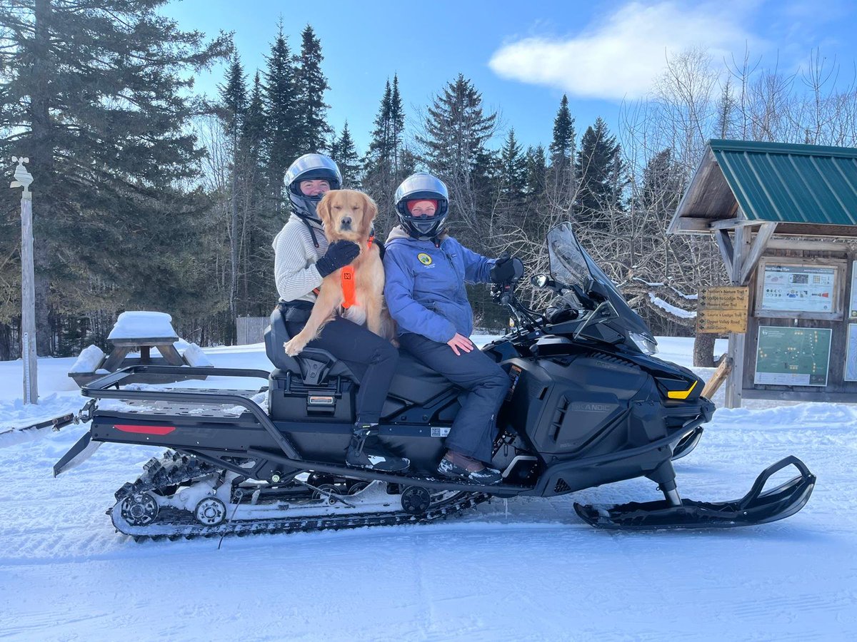 vagabondway's tweet photo. Everyday is a good day in the woods. However, some days are better than others.
@appmt
#working #goldens #teammates #maine https://t.co/Nbw8r4Yz3r