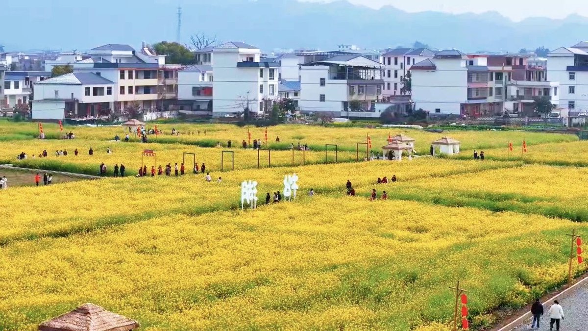 小桂之家 tweet media