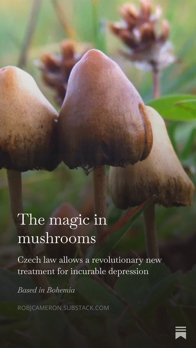 Rob Cameron tweet media