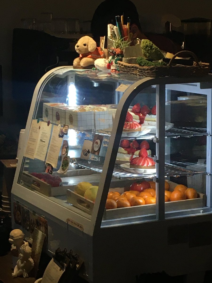 도롱이 tweet media