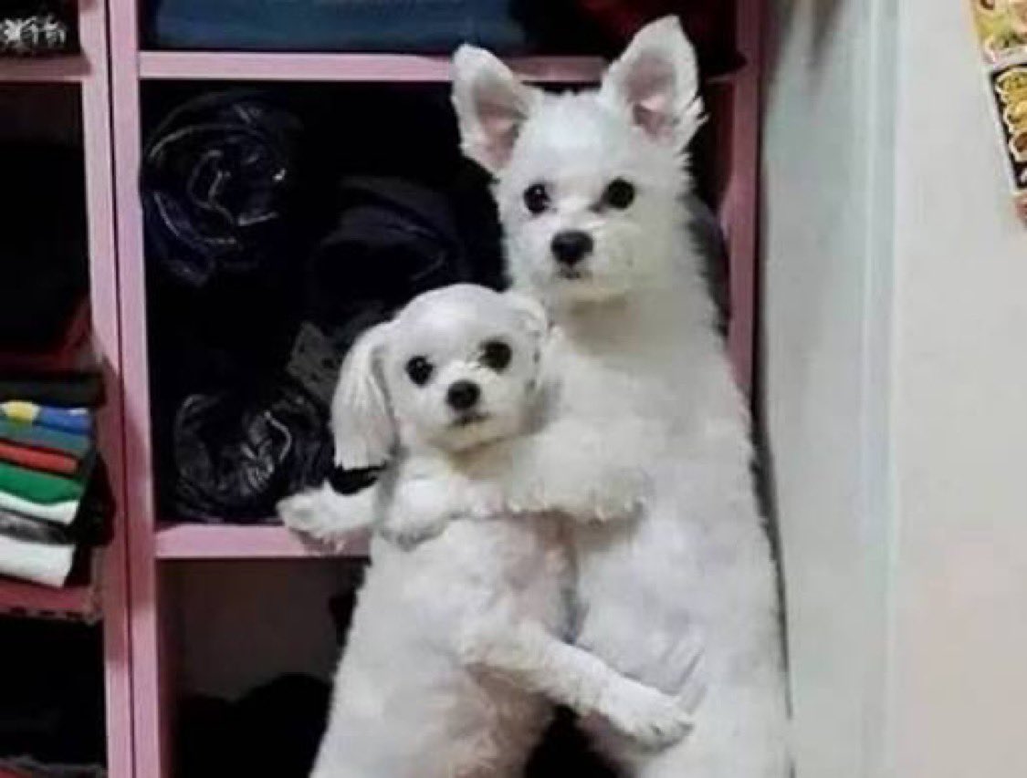 딸기탐정…🍓 tweet media