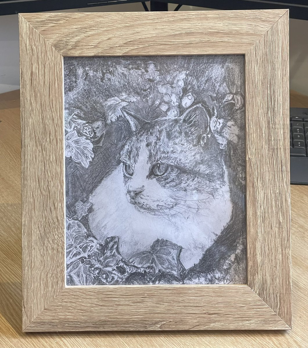 sheilaMol tweet media