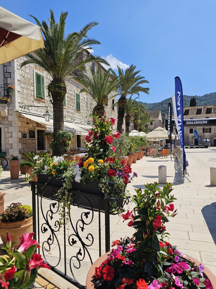 Evo mirisa prolića sa Hvara,,spring frsgrance from Stari Grad,Hvar