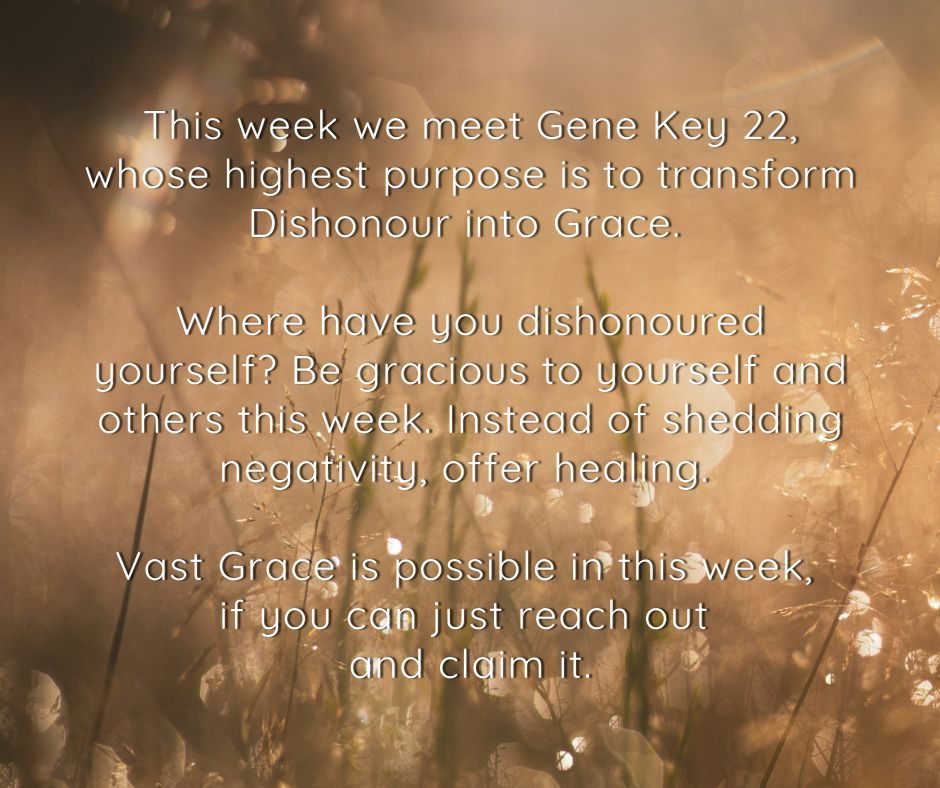 The Gene Keys tweet media