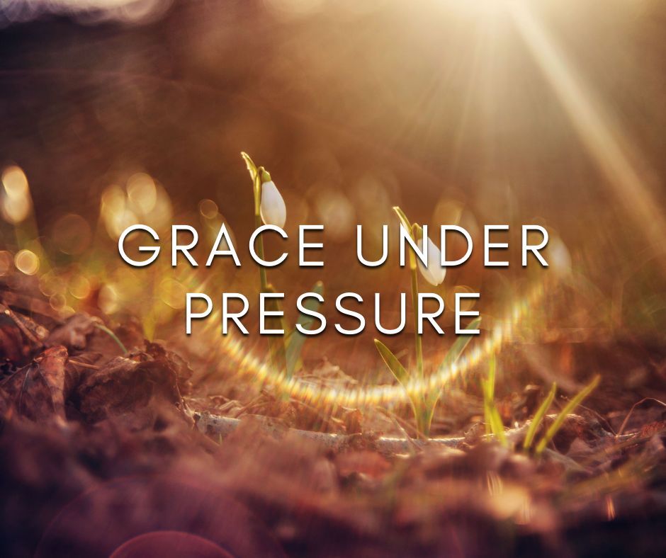 The Gene Keys tweet media