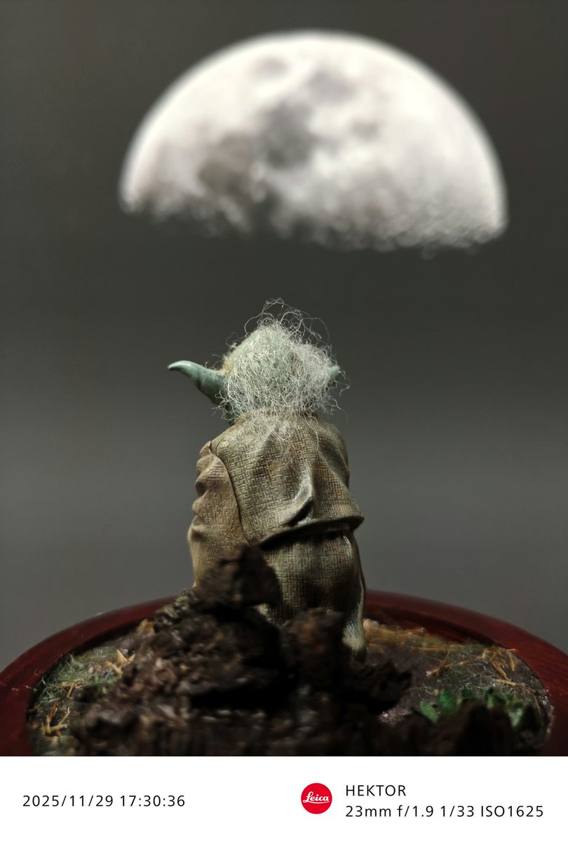 #100均ジオラマあつまれ
ヨーダのベースは、コースターに軽量ねんどに木工ボンド、枯草は亀の子束子をカットしたもので、ワンポイントの草も花の型に抜けるパンチで紙を組合せて彩色したから、100均アイテムの集まりです。
髪の毛も、羊毛フェルトを糊付したんだった！