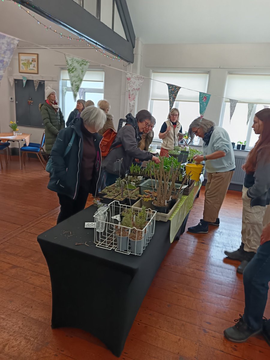 🦋 Hook Gardening Club 🌿 tweet media