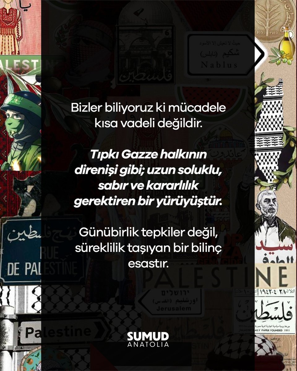 Sumud Anatolia tweet media