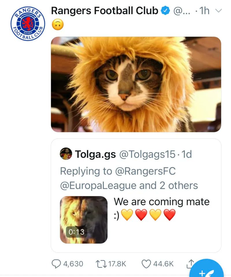 Sᴛᴜᴀʀᴛ ᴍᴀᴄ tweet media