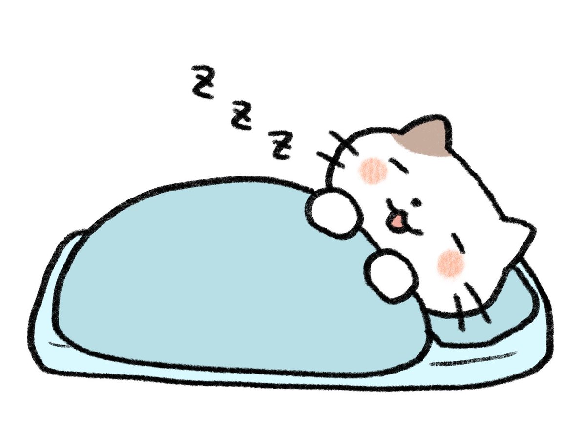 こじまにゃん🐱 tweet media