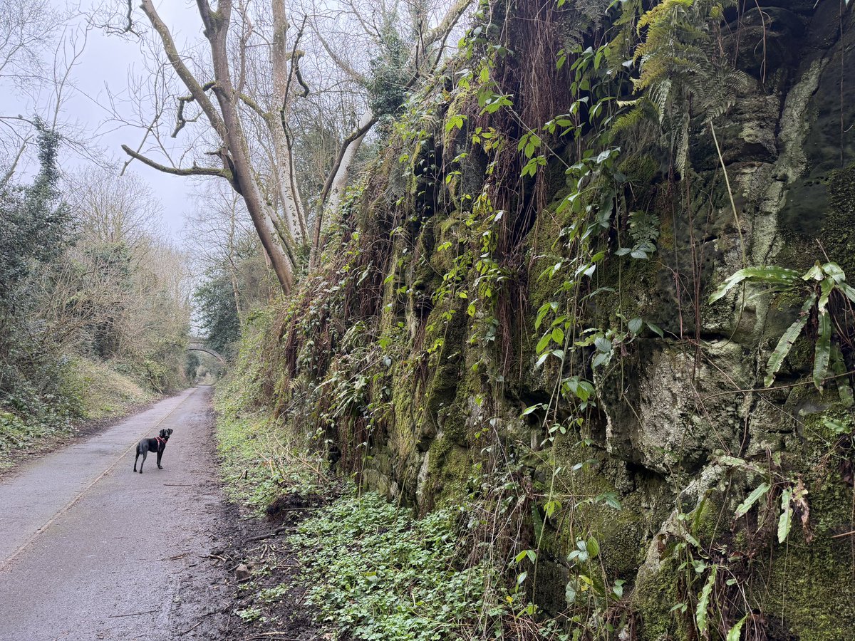 ManelRoura's tweet image. My walk today…a 15 mile circular walk Priorslee, Coalport (via Silkin Way), Ironbridge, Rough Park, Town Park and Priorslee in over 4 hours. #Telford Miles on my legs for challenges ahead.