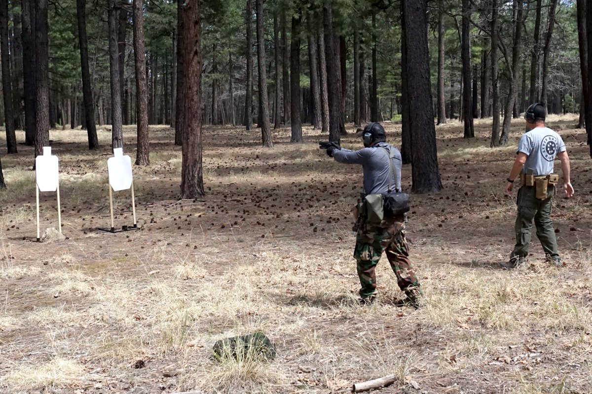 .338 Little Brother of War tweet media