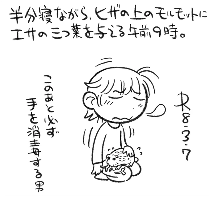 【絵日記0307】起こすためにモルモットを活用してきたが、最近はエサやって手を拭いて、また寝る。だめじゃん('ω`) 