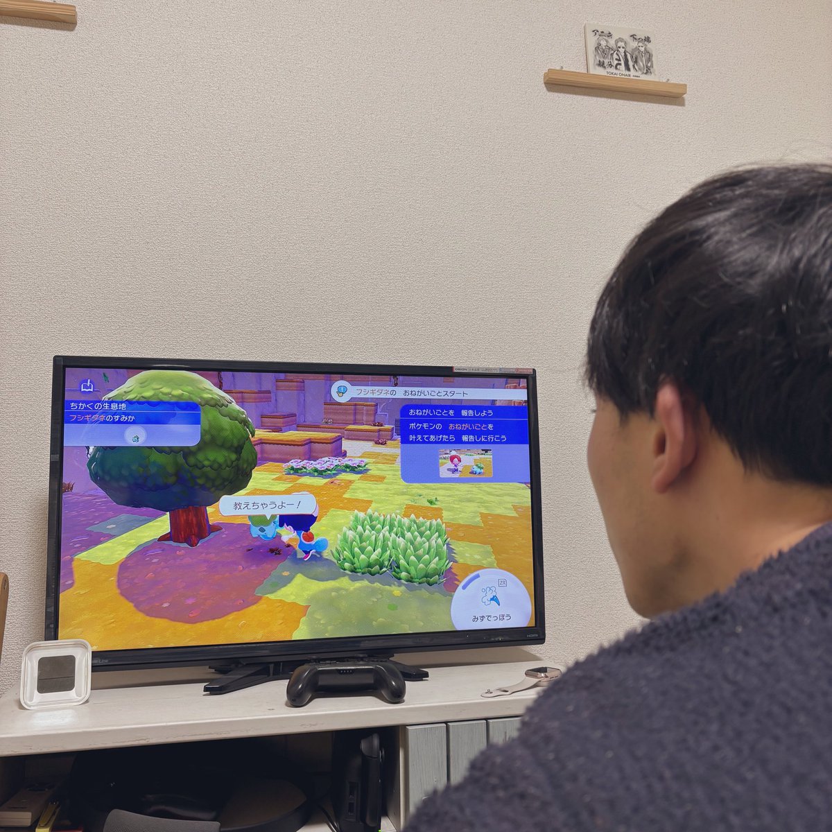 ヌンカ・むぎ・カトリーナ tweet media