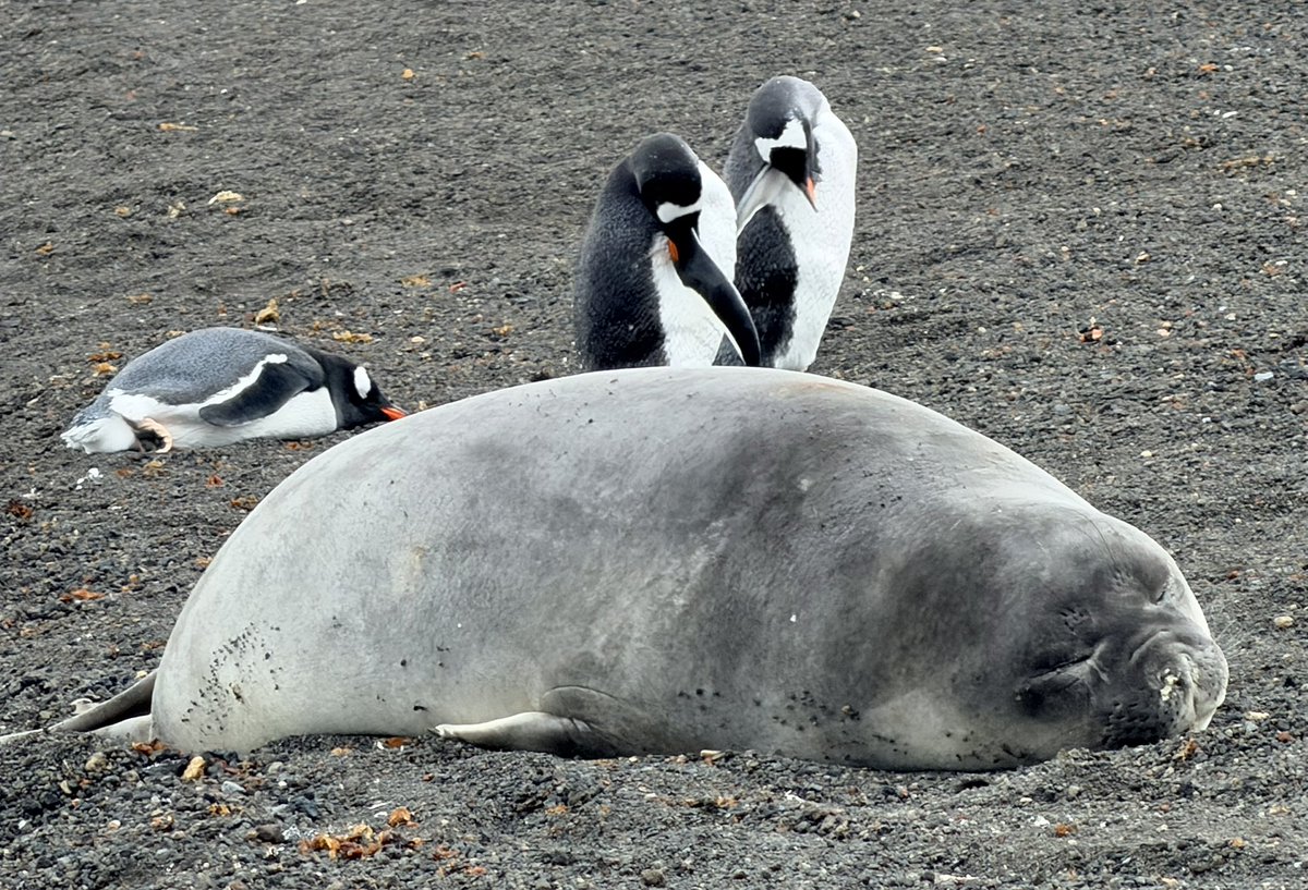 Chris Hart tweet media