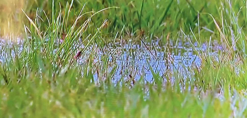 METSBARMBY FOOTBALL tweet media