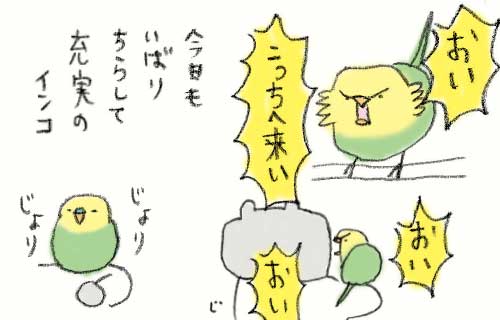 1日おきメモ（中原じゅん子） tweet media