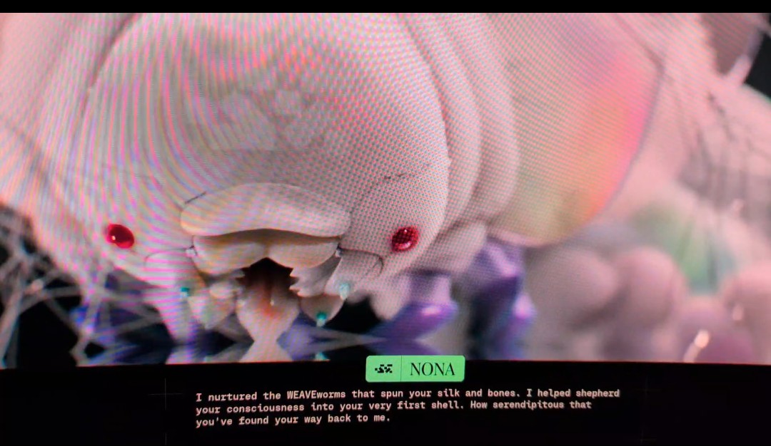 Will Duffield tweet media