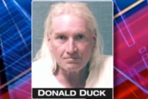TRIGGERHAPPYV1's tweet image. Donald Duck was arrested in 2010 for his sixth DUI after ramming his vehicle into another vehicle at a pizza pizza drive thru