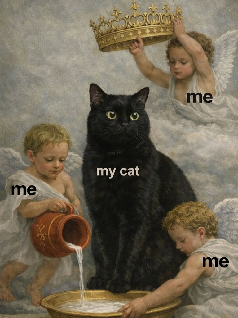 No Cats No Life (@nocatsnolife_m) on Twitter photo 