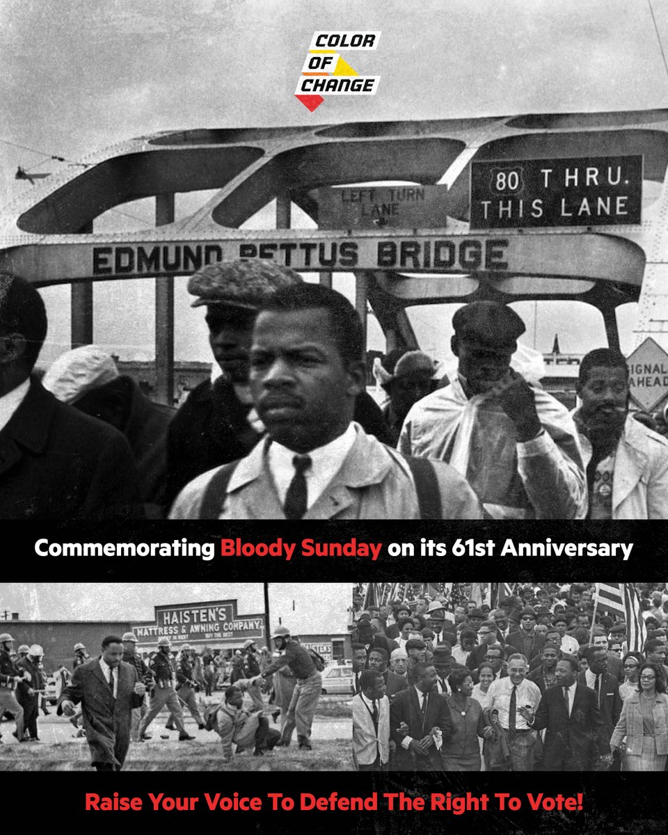 ColorOfChange tweet media