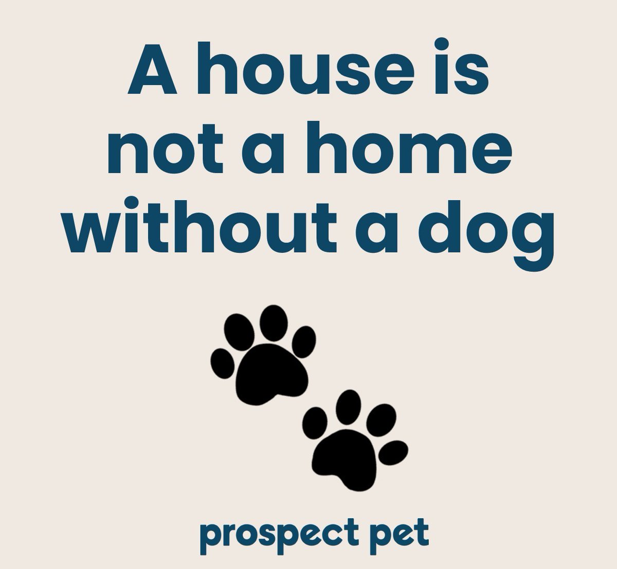 ProspectPet's tweet photo. Dogs fill our spaces with love, laughter, and unconditional joy—turning every house into a place that truly feels like home. 💛 https://t.co/33lsLcqGAE
