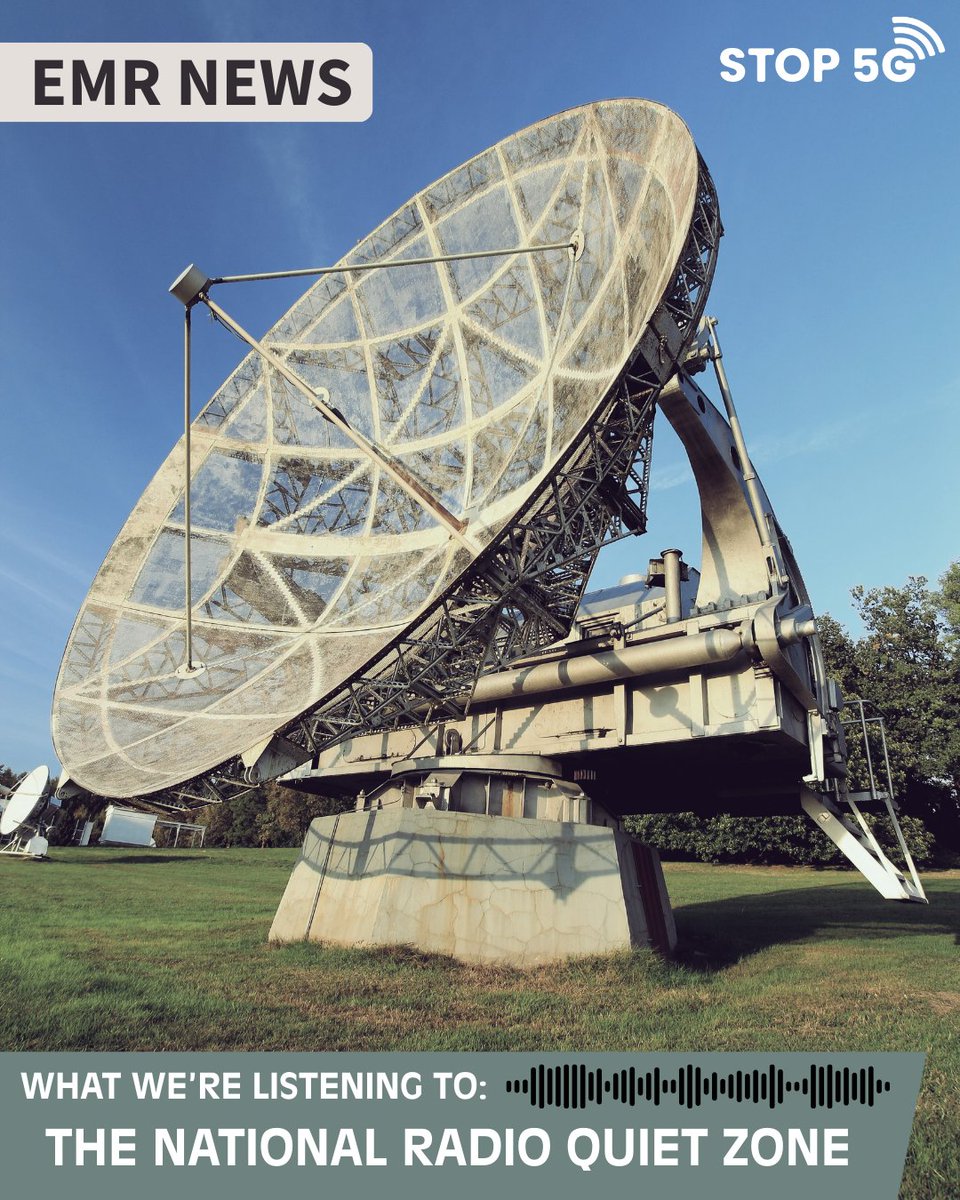 Stop5G Community Empowerment Consulting tweet media