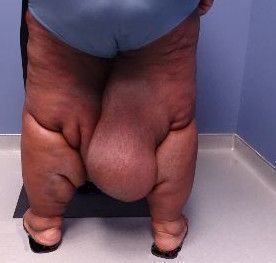 Jerad Gardner, MD tweet media