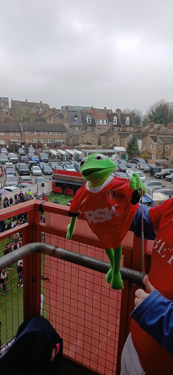 kermit krazy addick tweet media