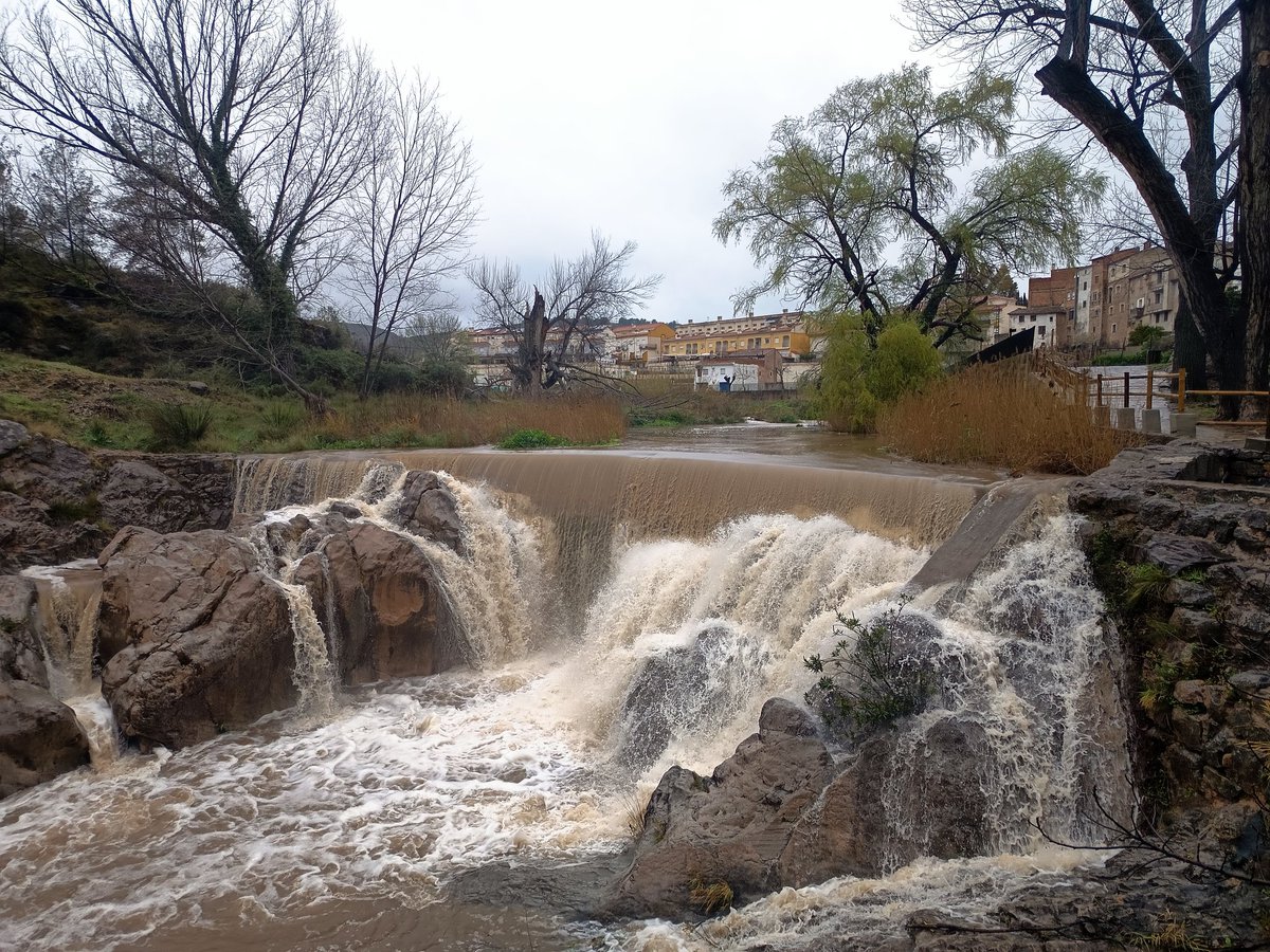 Hardacho tweet media