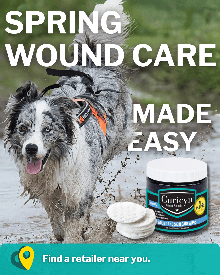 Curicynproducts's tweet photo. #SpringScrapes happen. Curicyn Wound &amp; Skin Care Wipes make on‑the‑go wound care simple and mess-free, delivering fast, gentle support for irritated skin and minor injuries. Safe for dogs, horses, and every animal that loves a good adventure. https://t.co/3CBRB7celi