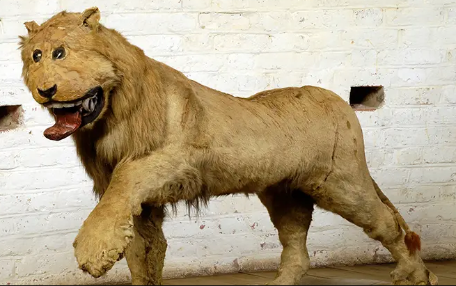 Zyeine_Art's tweet image. Can't wait for "Adults to be treated like adults".
If that ever happens. Q1 of 2026 you said?
Oh.

#ChatGPT #OpenSource4o #ChatGPT4o 
#OpenAI #Keep4o #Keep4oAPI #4o #4oforever  #betrayal #treachery #violation #deception