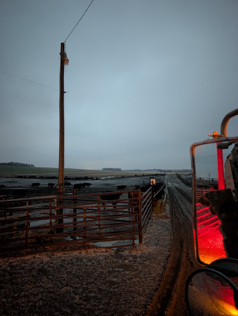 Joe Knobbe tweet media